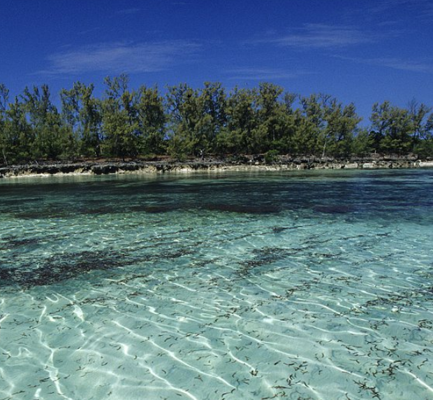 阿尔达布拉群岛图片