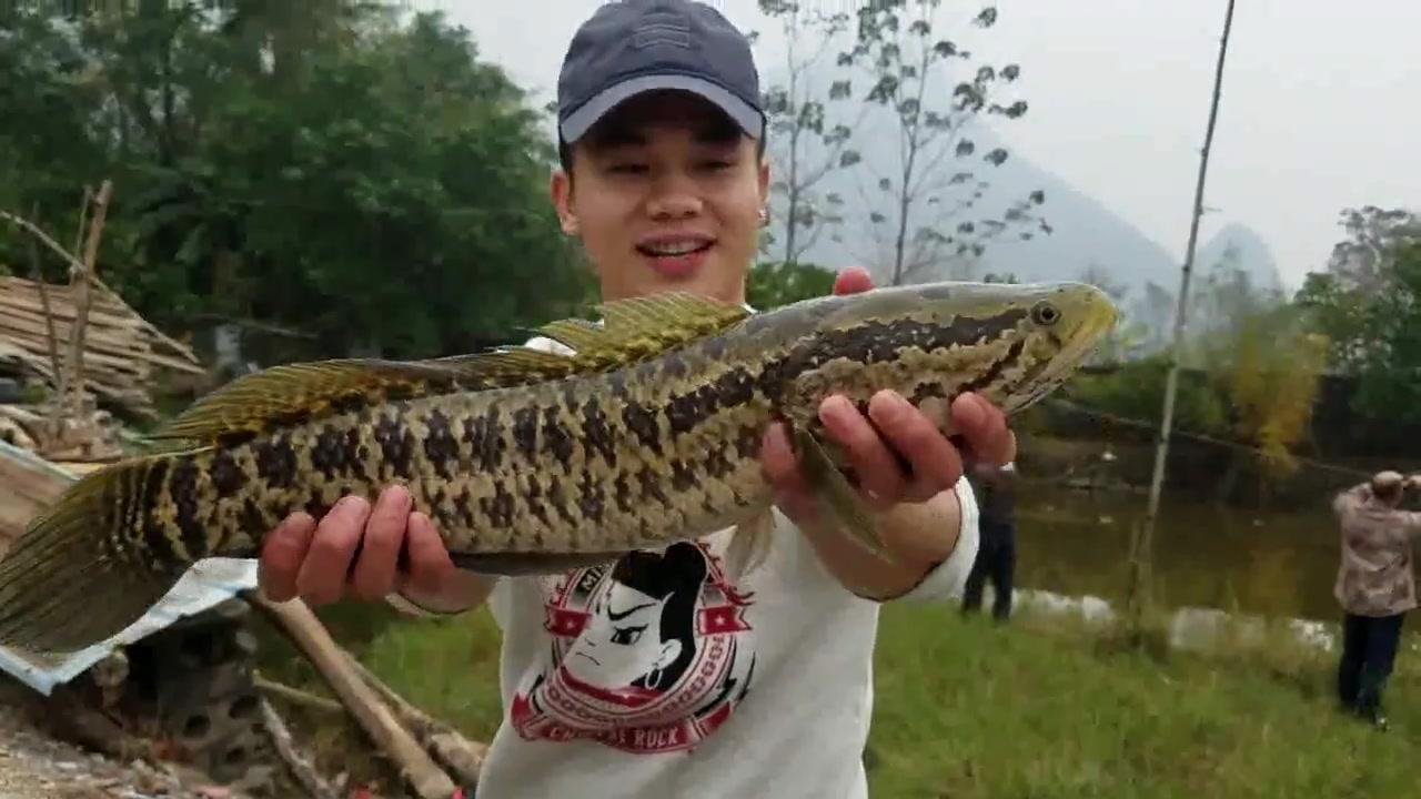 传统钓钓黑鱼的全套攻略,掌握一半,黑鱼就是你的囊中之物了