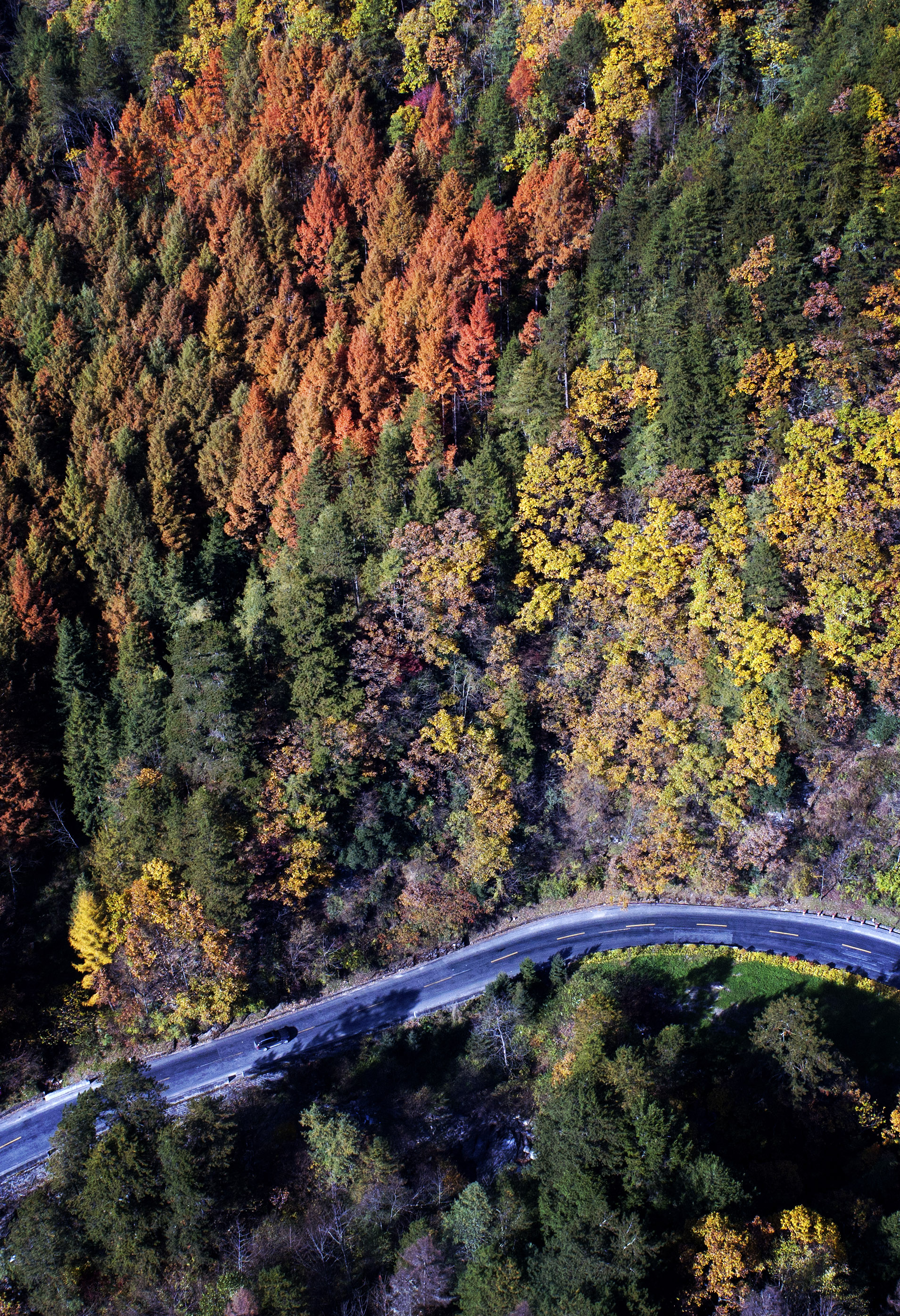 陝西秦嶺悠然山高山溼地景區內一景(10月27日攝). 編輯:李夢馨