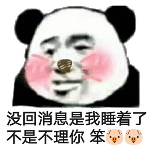 没回消息是我睡着了,不是不理你 笨猪猪