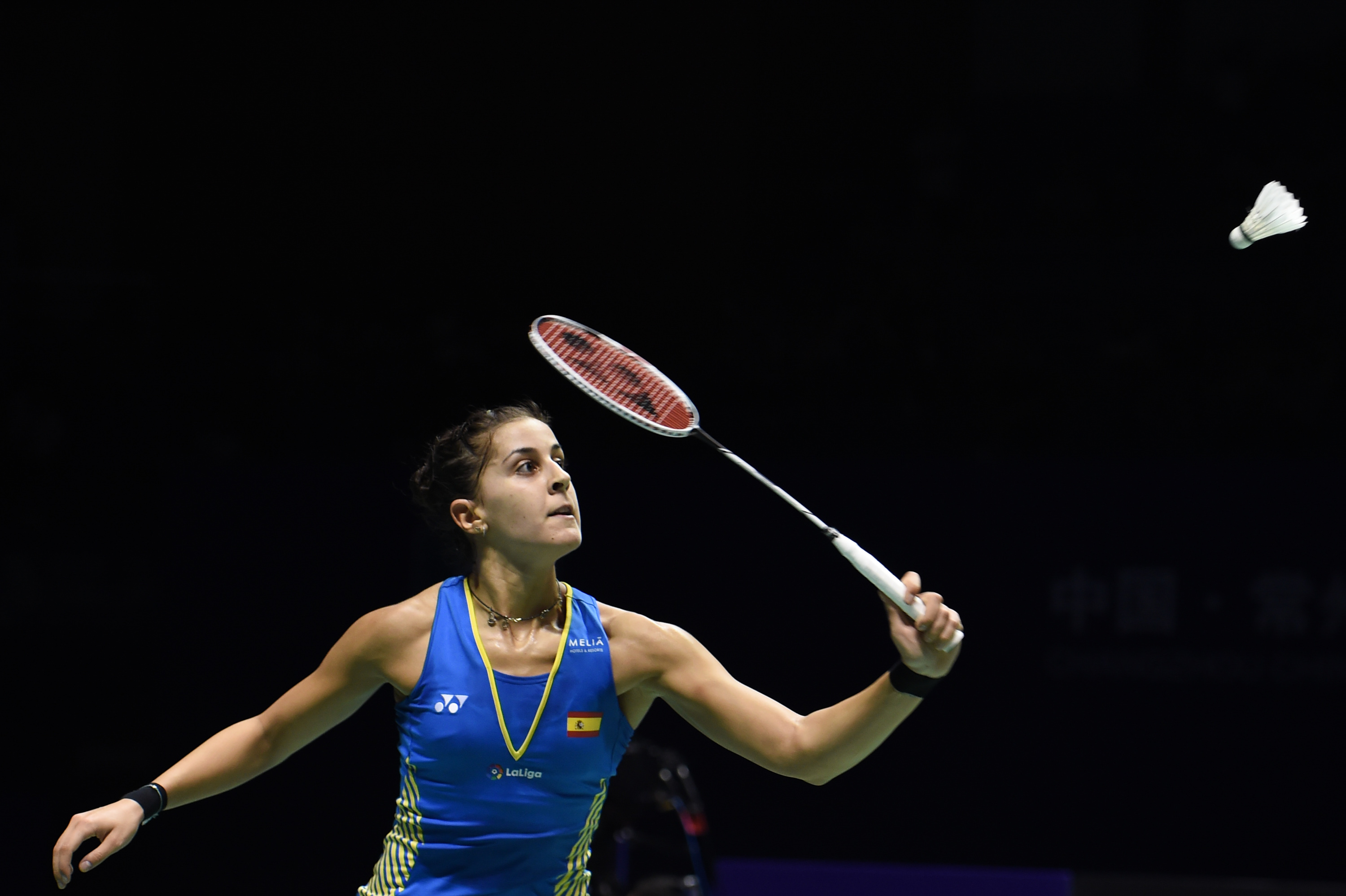 羽毛球——中国公开赛:马林胜陈雨菲夺冠