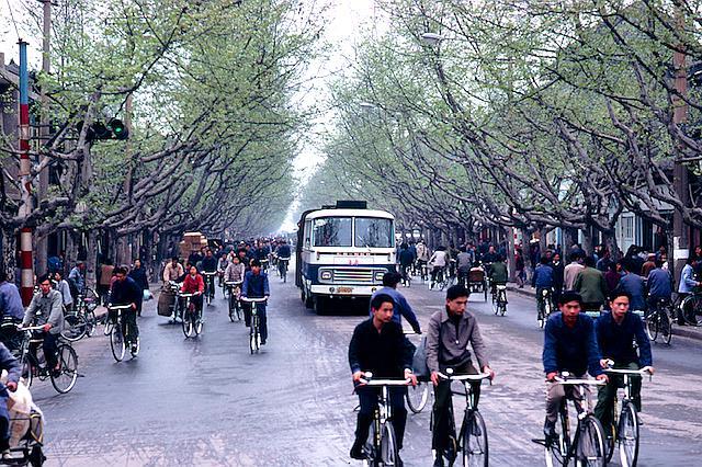 图为去晒棉衣的老人.