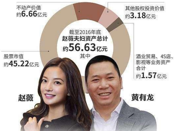 小燕子赵薇"空手套"案再次败诉,新加坡籍富豪老公黄有龙引关注