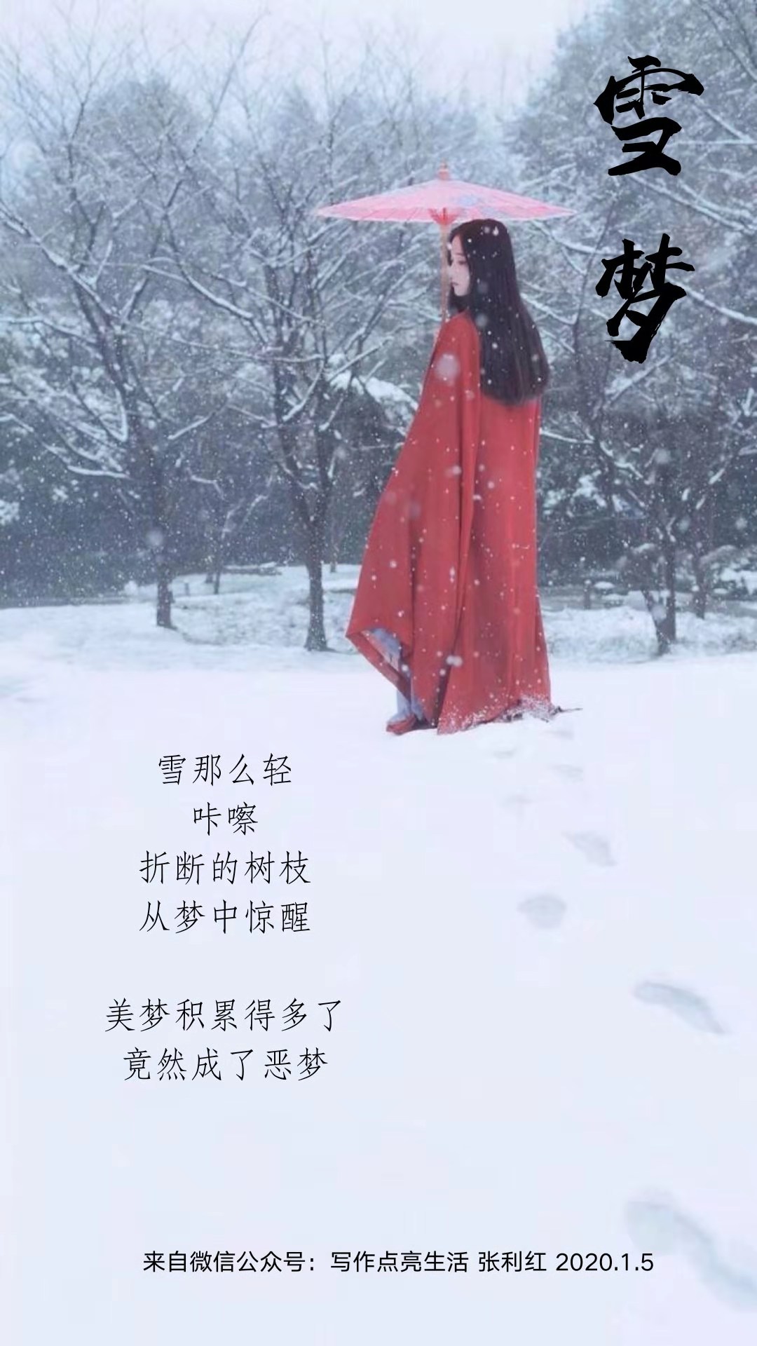 哲理小小诗:雪梦