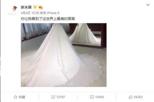 张千巽张木易结婚 资料介绍/恋爱历程盘点