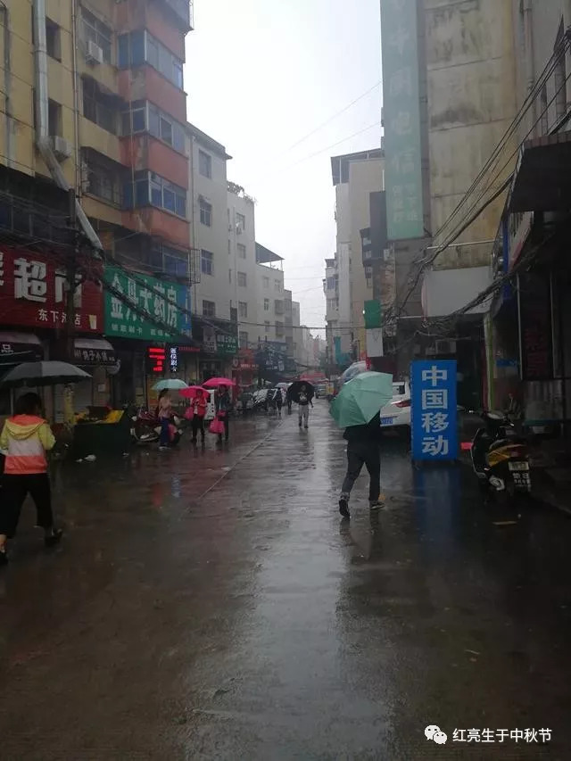 雨中洛阳东下池