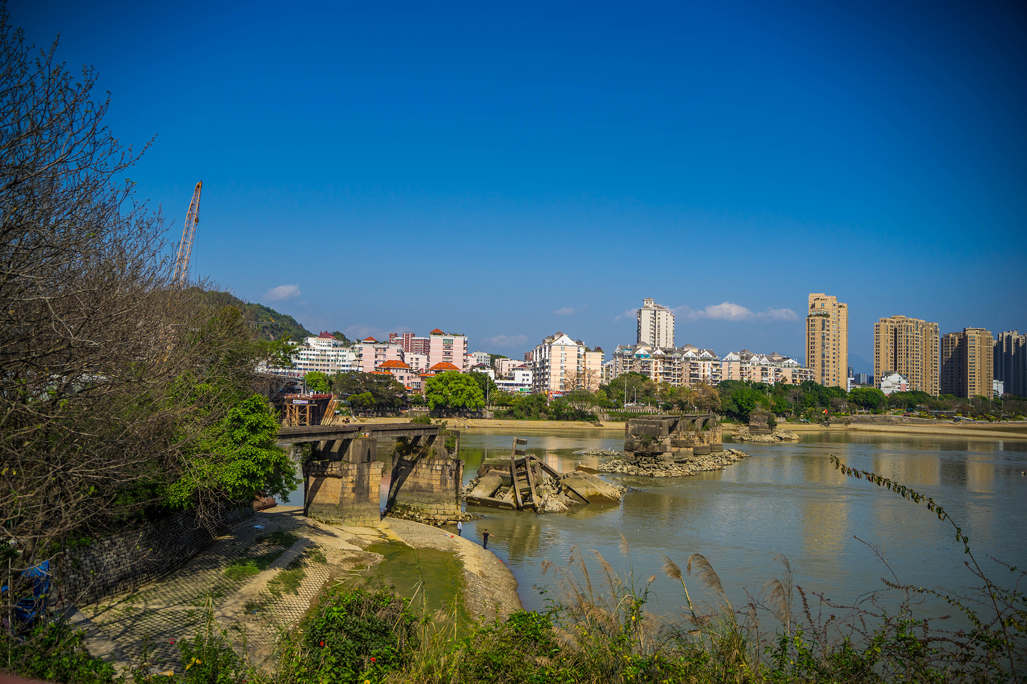 福州周末散心推荐:闽江公园一树一树的花开,遗世而独立