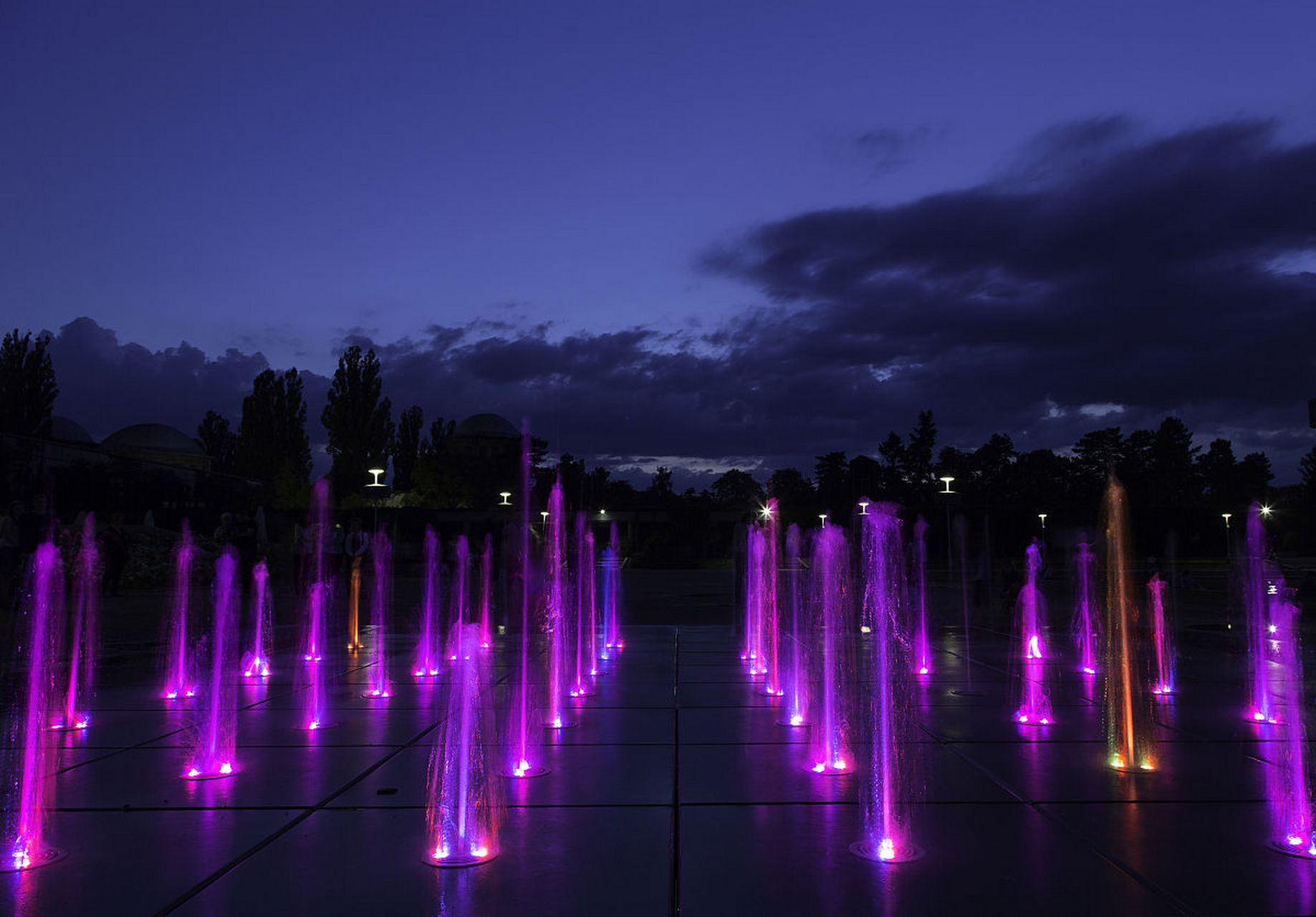 嗨,各位朋友们,最近我发现了一个超级酷炫的景观设计——旱地音乐喷泉