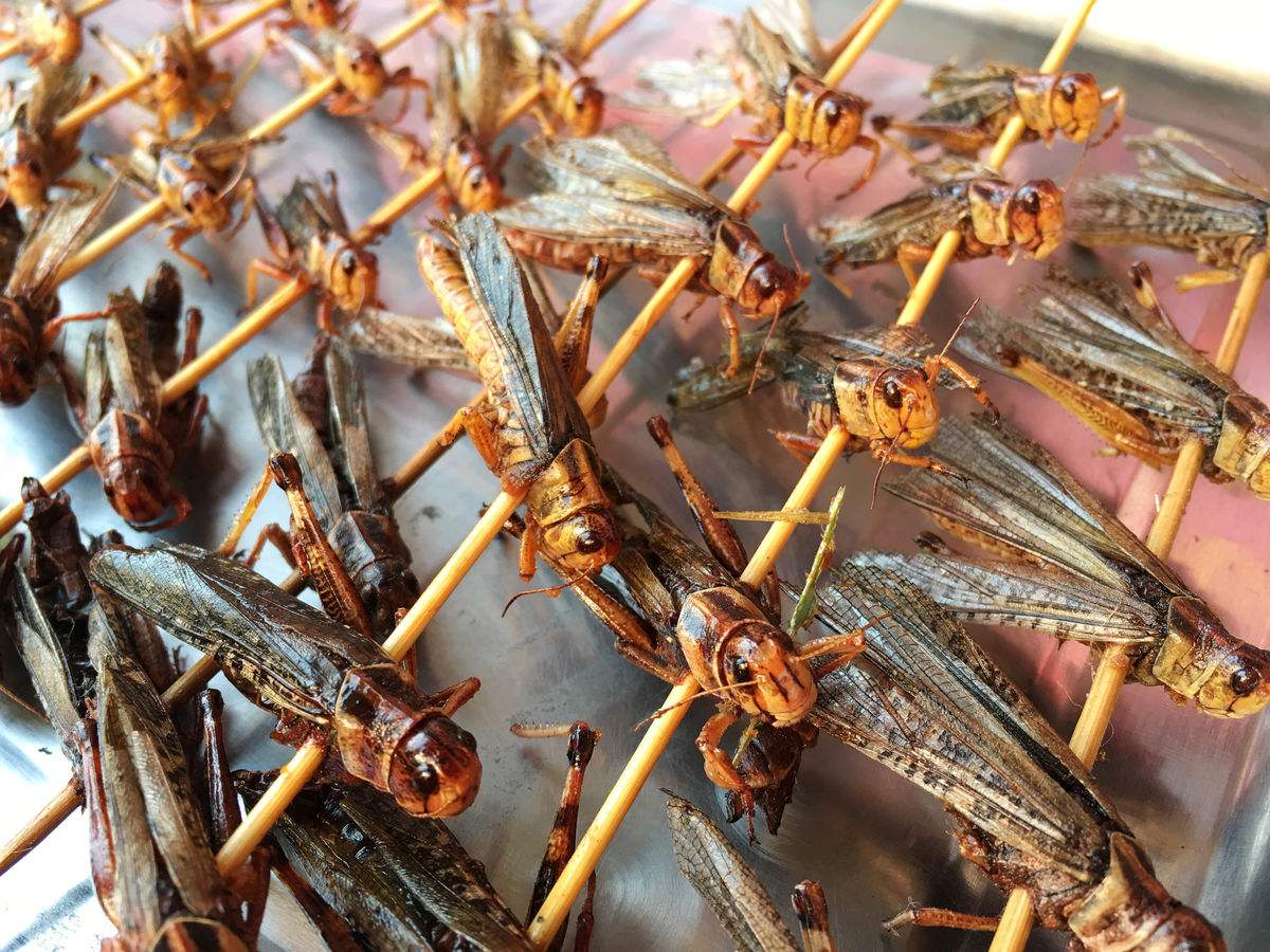 它是我国的"祸害"却成下酒菜,取代小龙虾,入驻夜市成夜宵之王