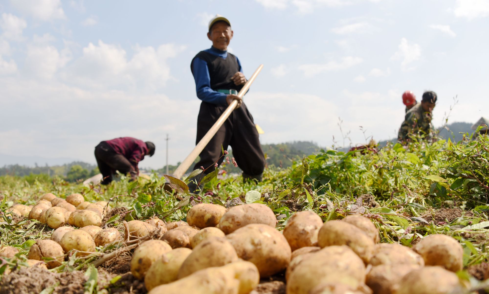 2020年4月15日,在浙江省台州市仙居县田市镇东周村
