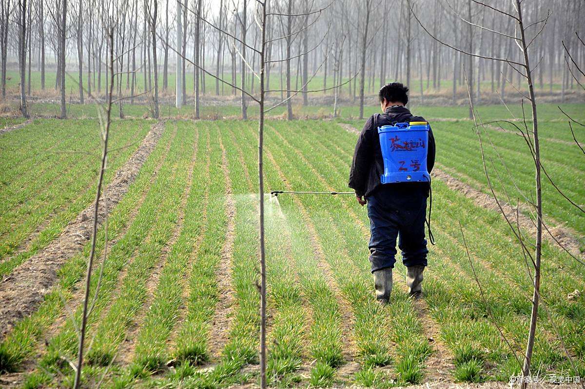 四,比较特殊的小麦田除草剂:要求最低温度10℃以上