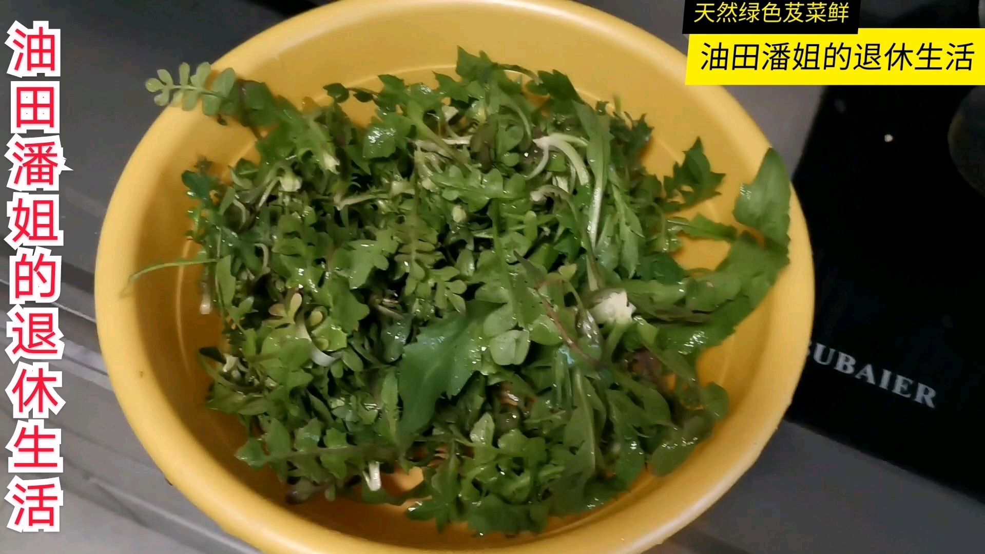 天然绿色芨芨菜,万般鲜味饺中藏,潘姐包芨芨菜饺子了