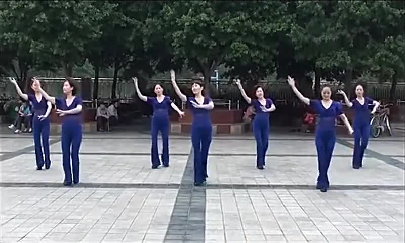 周思萍广场舞浪漫的草原背面分解动作教学