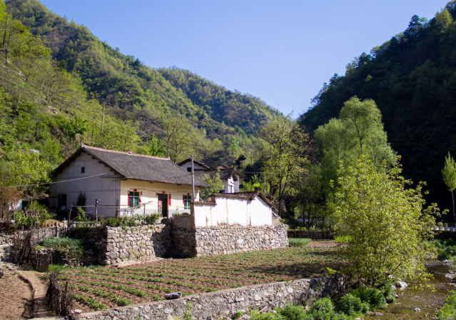 秦岭柞水张家沟|鸟鸣山涧,柴火飘香,你没见过的秦岭早晨八九点