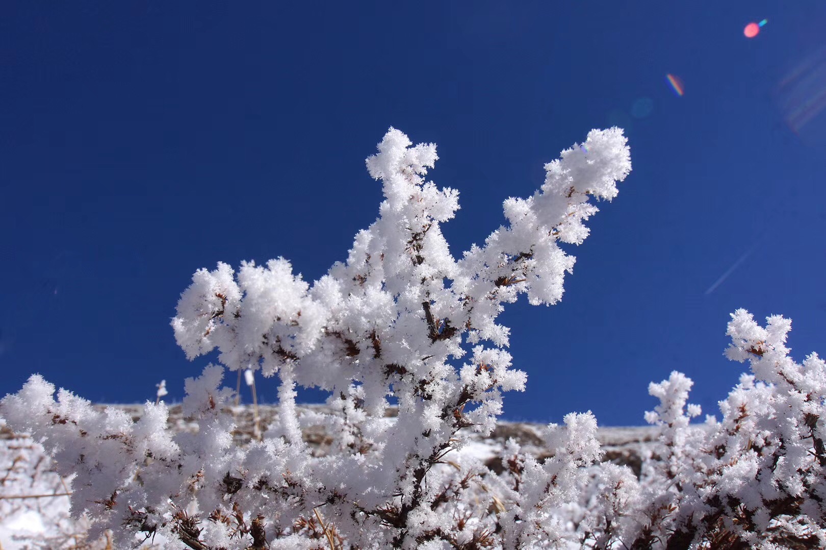 赏玉树三江源冰雪花(七律)
