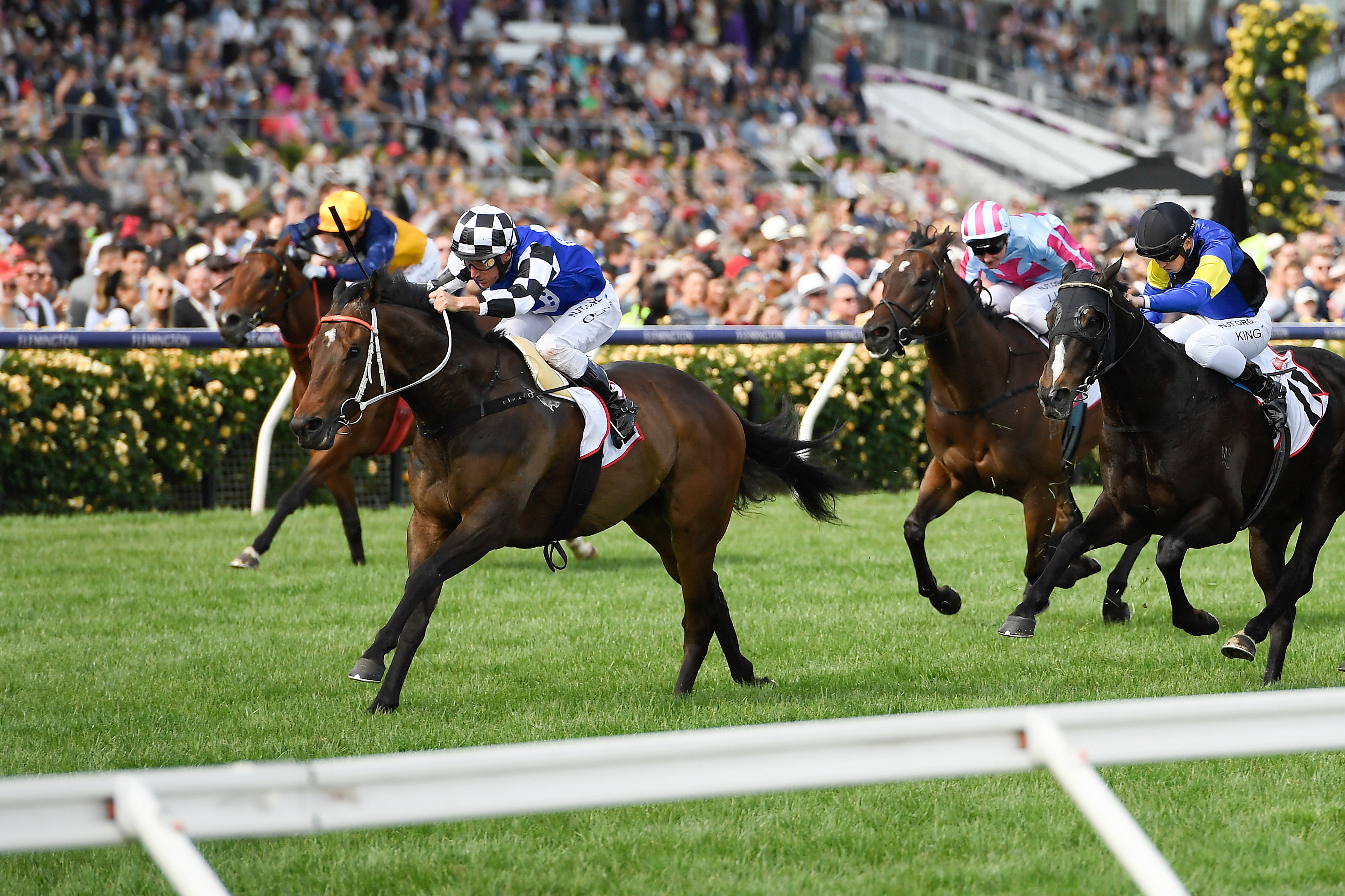 赛马——墨尔本杯:澳大利亚骑手夺冠(2)