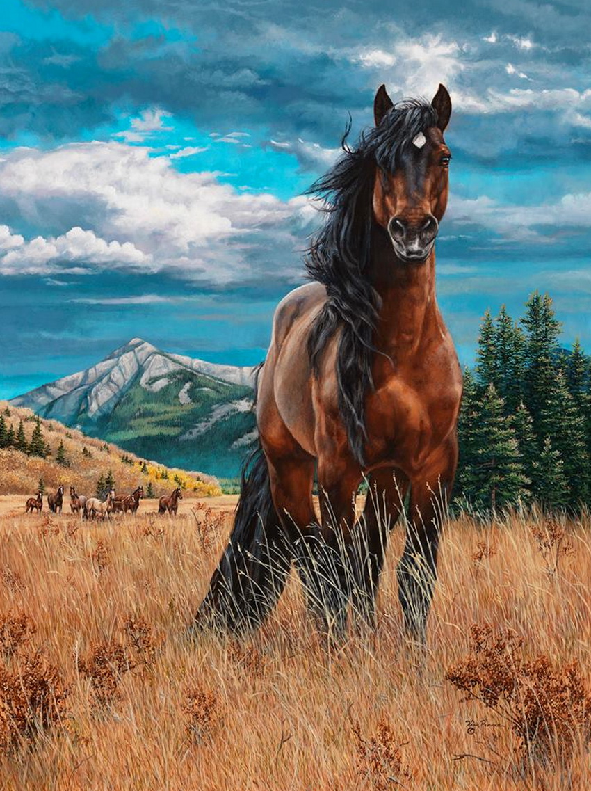 插画:艺术家kim penner作品-马