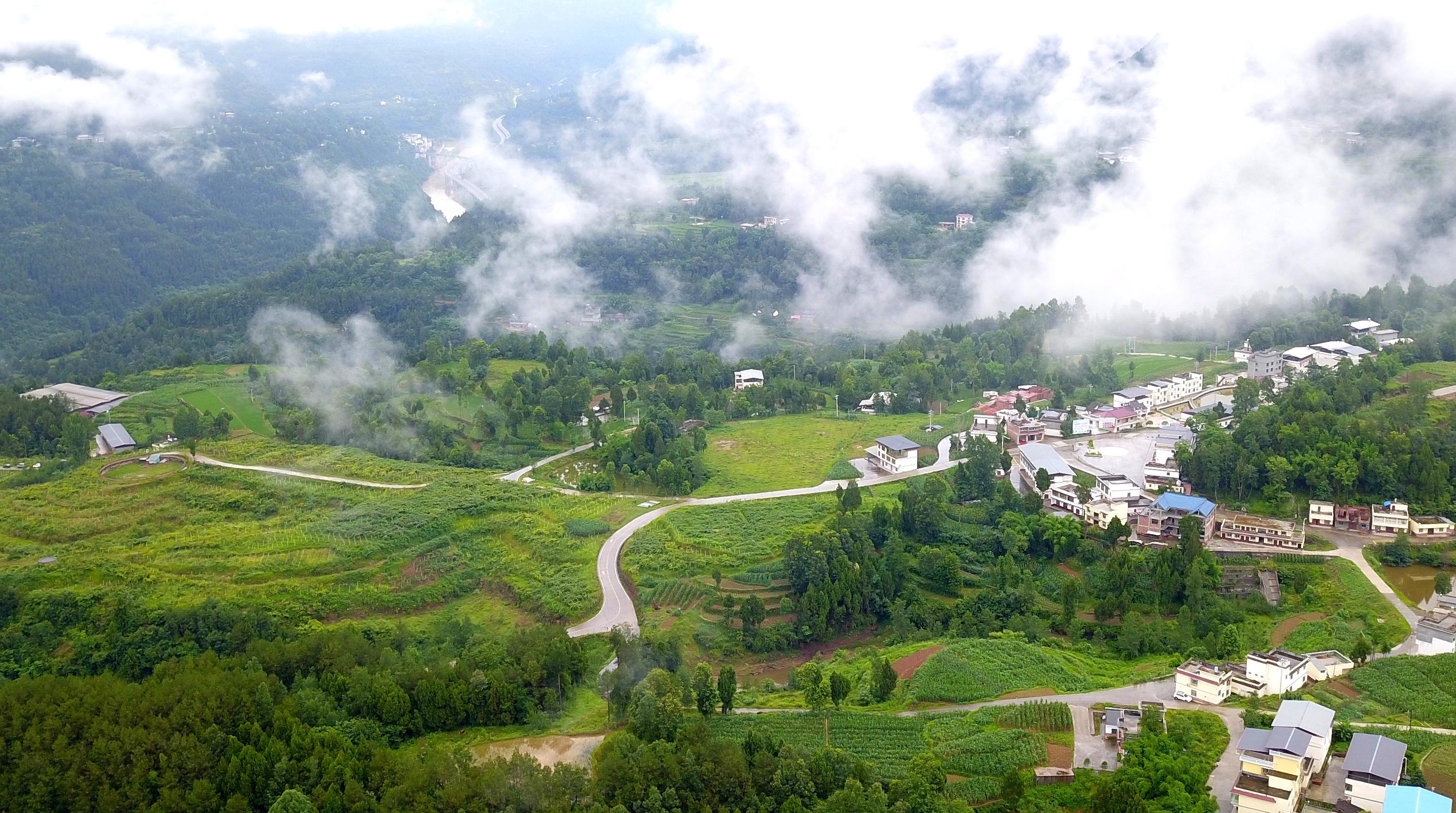 新农村景色美如画