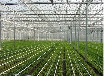 大棚 种植 - 2020年最新商品信息聚合专区 - 百度爱采购