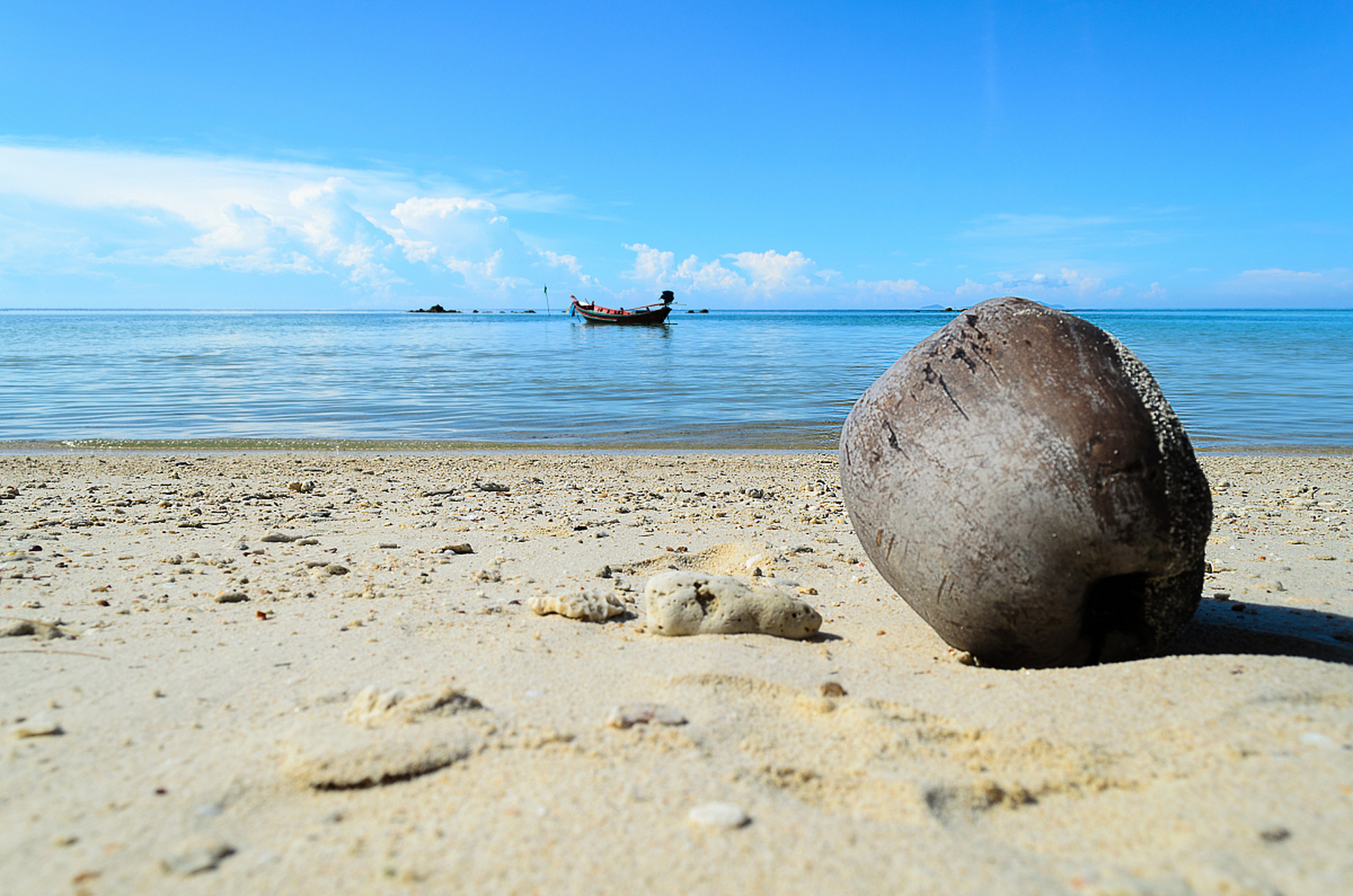 奔赴春天的旅行# 在春日的暖阳下,那香海的钻石沙滩上,我们举办了一