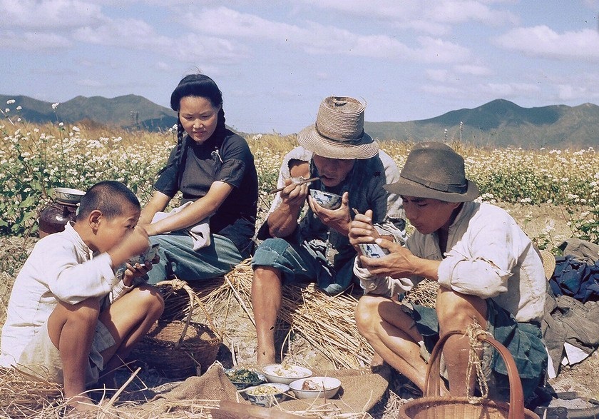正在田间劳作的中国农民一家,艰苦的抗日时期,这样的饭菜已经是很丰盛