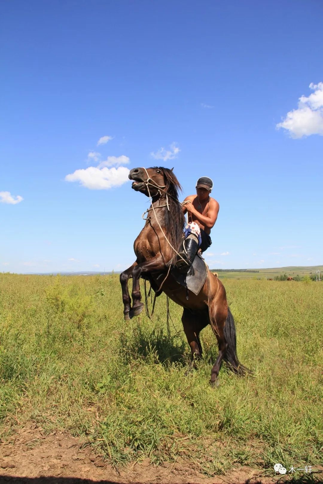 灵魂骑手的爱情隐喻——玫红新作《远去的骑手》赏析