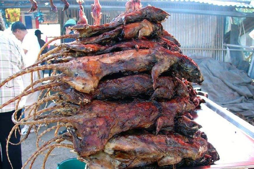 非洲人在路边卖的烤田鼠,一美元一串,大小随便挑,你敢吃吗?