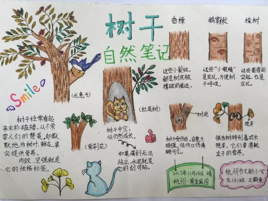 汇自然丨到中国儿童中心大花园来拥抱春天吧!
