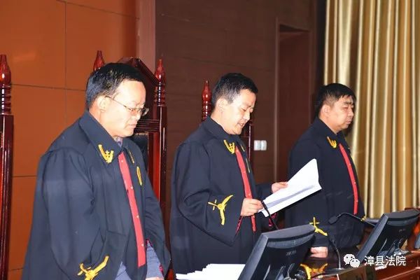漳县人民法院公开宣判史某某等人恶势力犯罪团伙案件