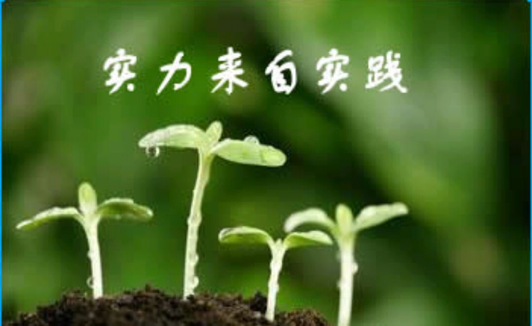 了解谚语俗语的含义及应用:踏实做事,笃行致远