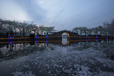 江苏省无锡市,太湖鼋头渚风景区内樱花夜景美如画