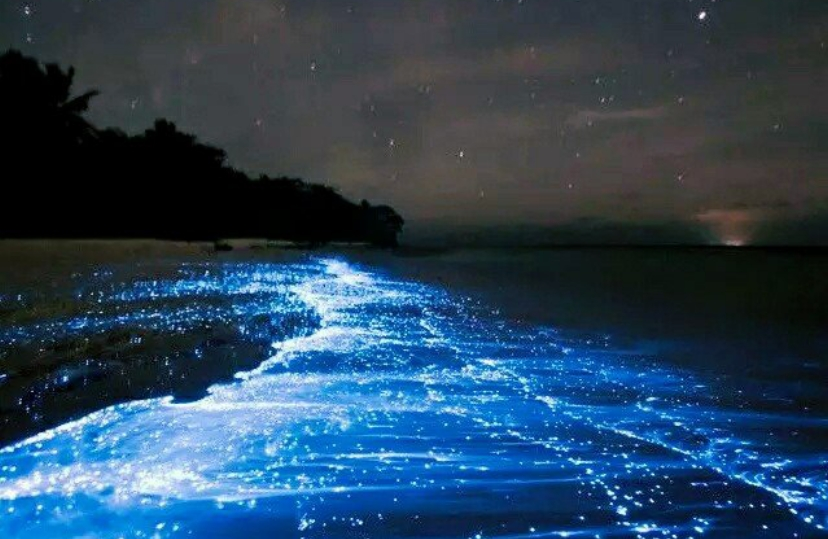 "蓝眼泪"刷屏,福建平潭终究是要火了吗?蓝色星河般梦幻超美啊