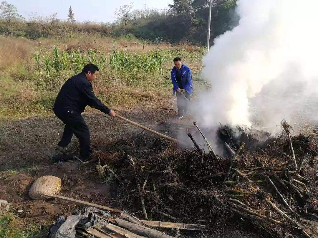农村的秸秆怎么处理?除了焚烧,做饭外,还能"变废为宝"!