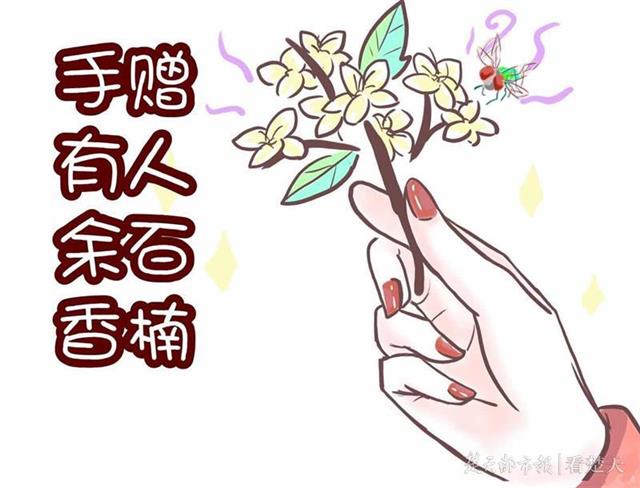 大一学生创作石楠花系列表情包走红网络