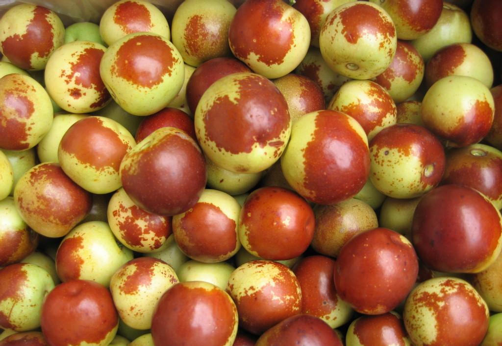 冬枣- 热门商品专区