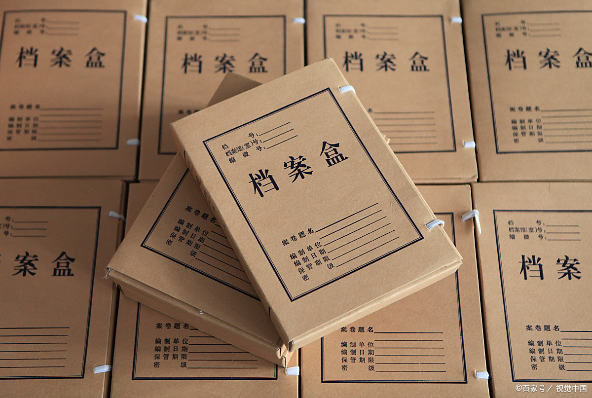 各式档案盒样品类型