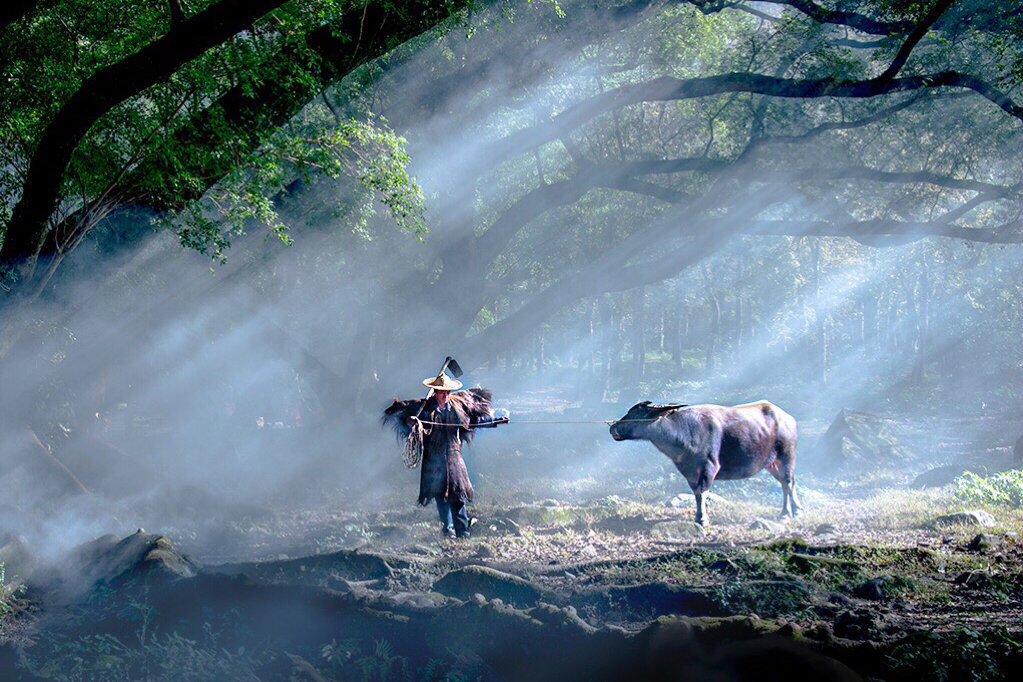 诗词:李子柒式的田园生活,有我们渴望已久的快乐和写意