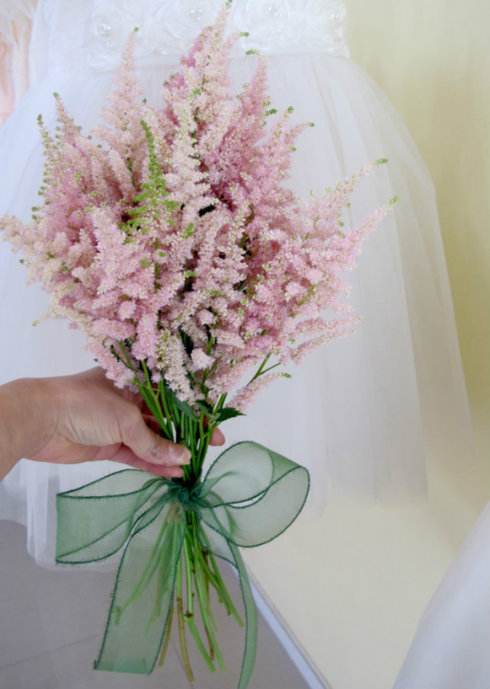 一花一世界,一叶一菩提——奇花异草落新妇,花语文化栽培技术