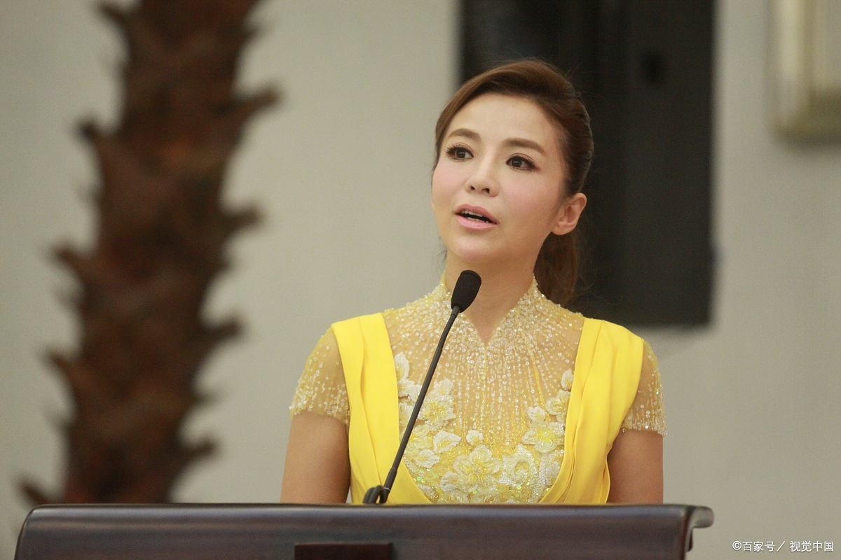 央视著名女主持人,坚强的朱迅