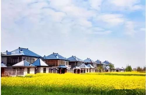 如东河口镇关口村3天完成土地流转,他们是如何做到的?