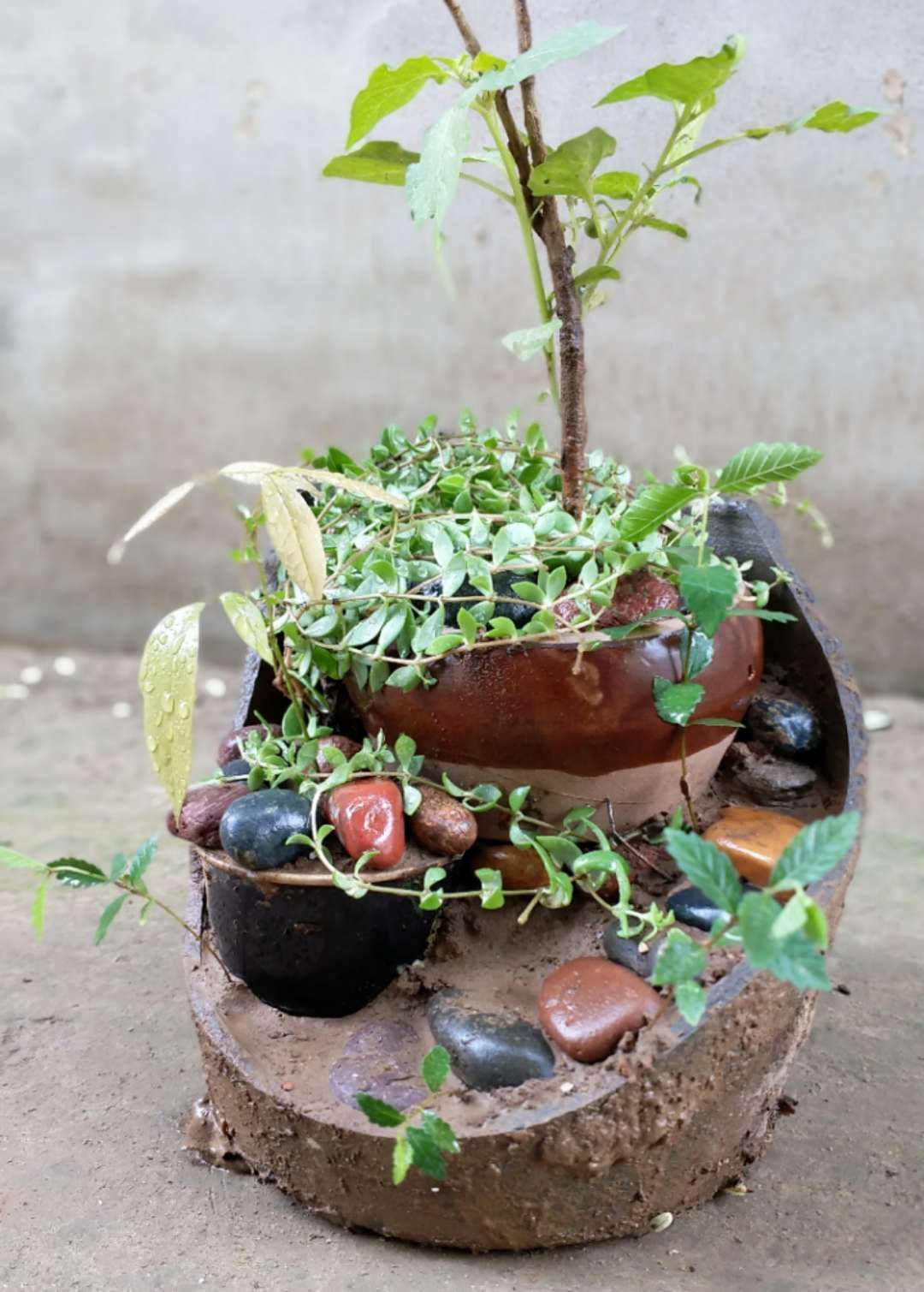 废弃的旧破花盆也有用途