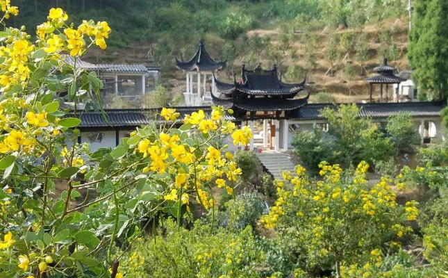 江西国鸿生态园位于风光秀丽的南昌县蒋巷镇内,生态园占地800余亩.