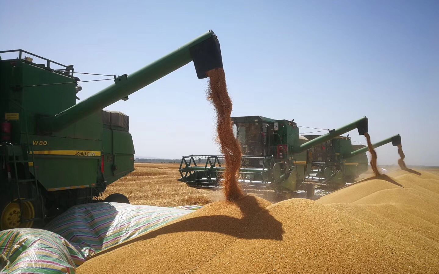 被粮食话题炸火的金健米业,9涨停背后扣非净利亏13年