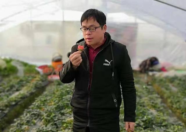 农业职业经理人——王明礼