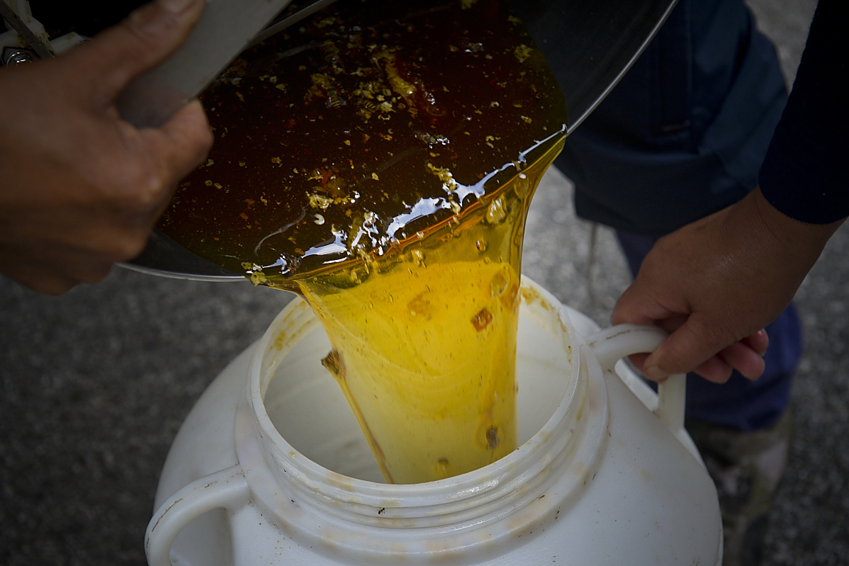 蜂蜜结晶体图片(蜂蜜结晶形状图) 蜂蜜结晶体图片(蜂蜜结晶形状图)