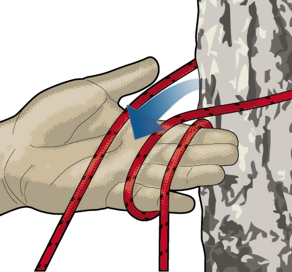 适用于将绳子系到固定物上—比如,在建雨披棚子时,将屋脊线系到树上