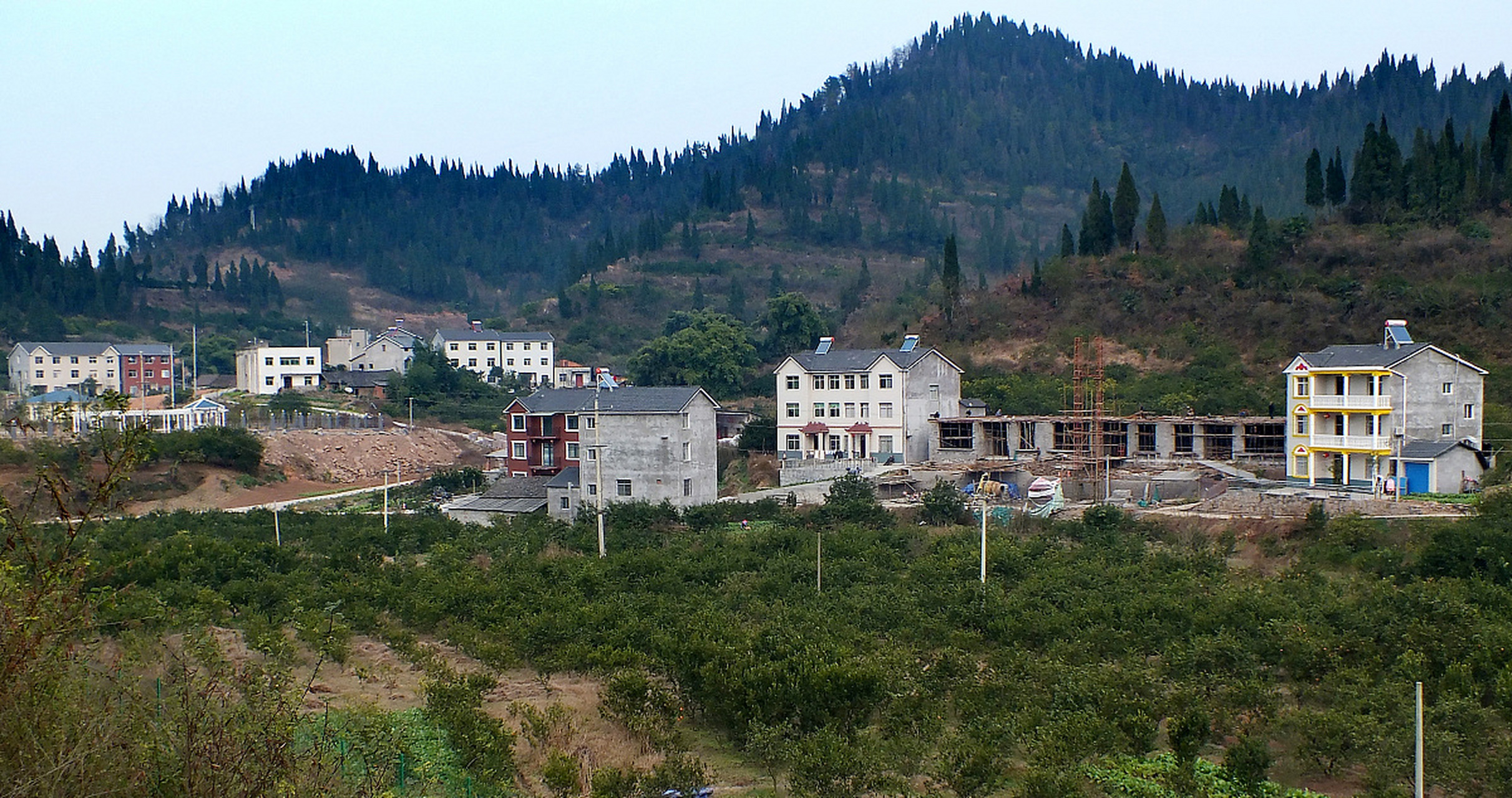 镜头里的春天# 春天,犹如一幅生动的油画,悄然揭开四川南充仪陇新政