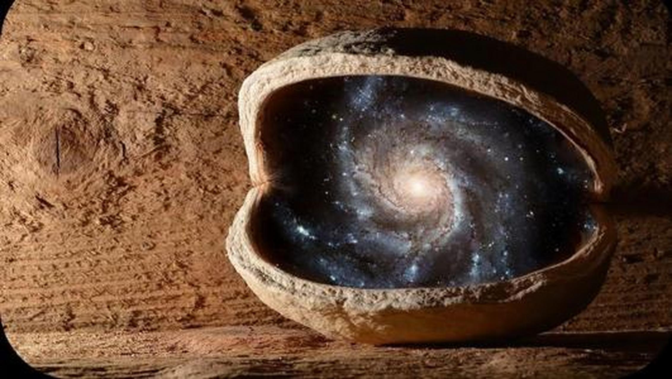 书香百家#【你爱看什么书?