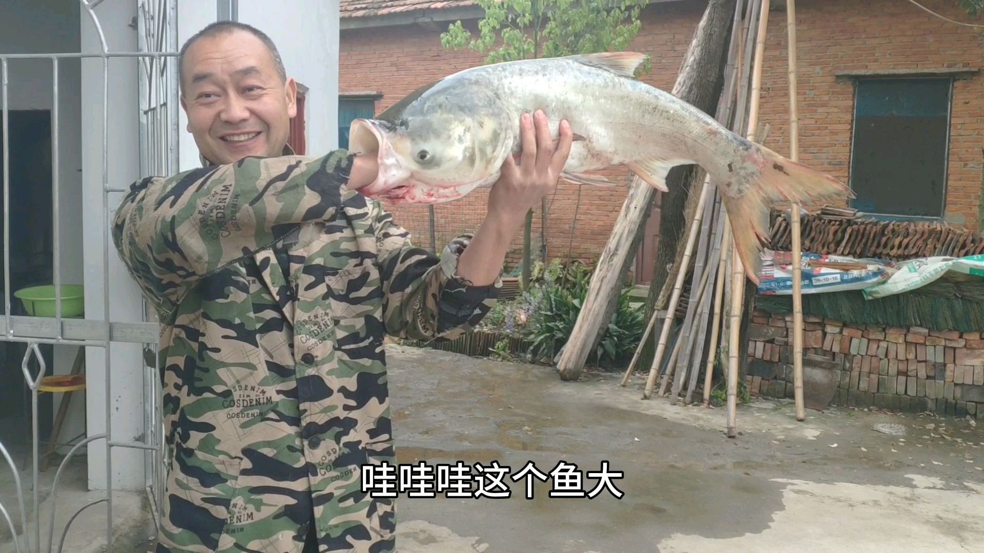 今天搞了条长江野生大鱼,鱼嘴可以吞下我的拳头