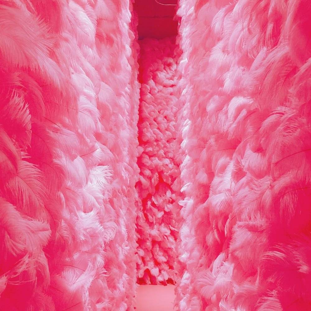 厦门新晋五大网红墙,等你来打卡